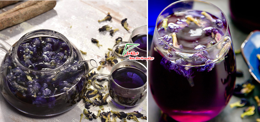 Lấy m&agrave;u hoa đậu biếc